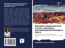 Боковой эквивалентный статус сланцевых месторождений Нкпоро и Энугу的封面