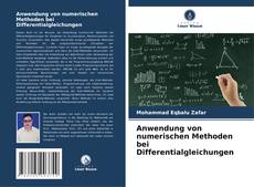 Bookcover of Anwendung von numerischen Methoden bei Differentialgleichungen