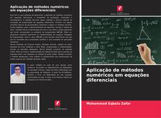 Buchcover von Aplicação de métodos numéricos em equações diferenciais