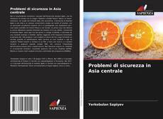 Bookcover of Problemi di sicurezza in Asia centrale