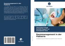 Portada del libro de Raummanagement in der Pädiatrie