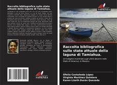 Bookcover of Raccolta bibliografica sullo stato attuale della laguna di Tamiahua.