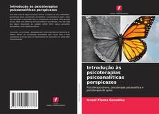 Introdução às psicoterapias psicoanalíticas perspicazes kitap kapağı
