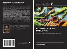 ECONOMÍA DE LA PANDEMIA kitap kapağı
