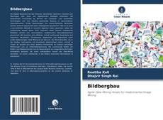 Portada del libro de Bildbergbau