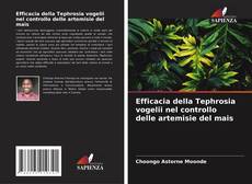 Capa do livro de Efficacia della Tephrosia vogelii nel controllo delle artemisie del mais 
