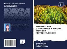 Мышьяк, его загрязнение и очистка методом фиторемедиации的封面