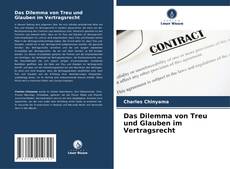 Buchcover von Das Dilemma von Treu und Glauben im Vertragsrecht