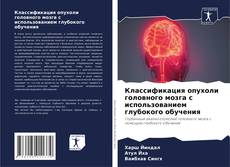 Обложка Классификация опухоли головного мозга с использованием глубокого обучения