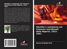 Bookcover of Identità e resistenza nei Camerun meridionali della Nigeria, 1922-1961
