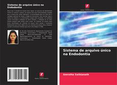 Bookcover of Sistema de arquivo único na Endodontia