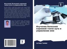 Обложка Изучение болезней корневой гнили нута и управление ими