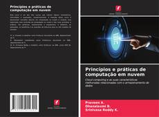 Bookcover of Princípios e práticas de computação em nuvem