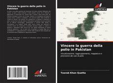 Bookcover of Vincere la guerra della polio in Pakistan