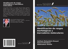 Bookcover of Identificación de rasgos morfológicos y marcadores moleculares