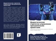 Bookcover of Дидактические стратегии управления программными проектами