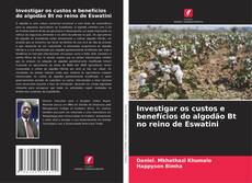 Bookcover of Investigar os custos e benefícios do algodão Bt no reino de Eswatini