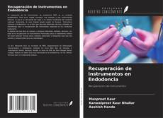 Buchcover von Recuperación de instrumentos en Endodoncia