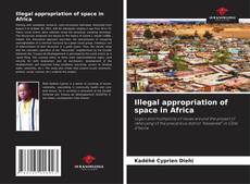 Bookcover of Illegal appropriation of space in Africa