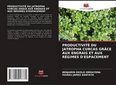 Buchcover von PRODUCTIVITÉ DU JATROPHA CURCAS GRÂCE AUX ENGRAIS ET AUX RÉGIMES D'ESPACEMENT