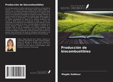 Bookcover of Producción de biocombustibles