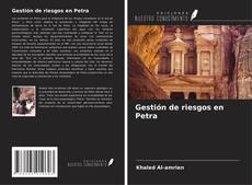 Capa do livro de Gestión de riesgos en Petra 