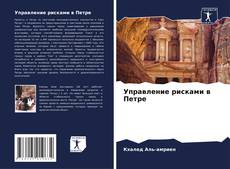 Bookcover of Управление рисками в Петре