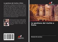 Capa do livro de La gestione del rischio a Petra 