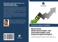 Capa do livro de Bäuerliche Wahrnehmungen von Veränderungen und Anpassungsstrategien 