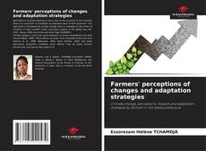 Buchcover von Farmers' perceptions of changes and adaptation strategies