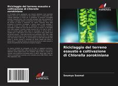 Bookcover of Riciclaggio del terreno esausto e coltivazione di Chlorella sorokiniana