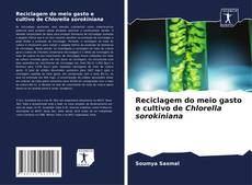 Portada del libro de Reciclagem do meio gasto e cultivo de Chlorella sorokiniana