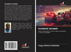 Bookcover of Incidenti stradali