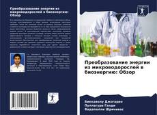 Bookcover of Преобразование энергии из микроводорослей в биоэнергию: Обзор