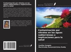 Copertina di Contaminación por nitratos en las aguas subterráneas e implicaciones para la salud