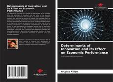 Copertina di Determinants of Innovation and its Effect on Economic Performance