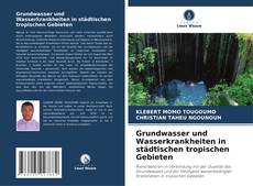 Bookcover of Grundwasser und Wasserkrankheiten in städtischen tropischen Gebieten