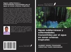 Capa do livro de Aguas subterráneas y enfermedades transmitidas por el agua en zonas urbanas tropicales 