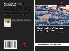 Municipality of Moreno - Dormitory town kitap kapağı