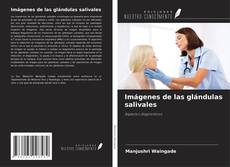 Bookcover of Imágenes de las glándulas salivales
