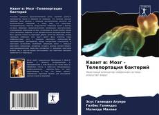Квант в: Мозг -Телепортация бактерий kitap kapağı