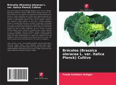 Обложка Brócolos (Brassica oleracea L. var. italica Plenck) Cultivo