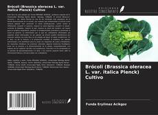 Capa do livro de Brócoli (Brassica oleracea L. var. italica Plenck) Cultivo 