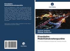 Eisenbahn-Mobilitätsknotenpunkte kitap kapağı