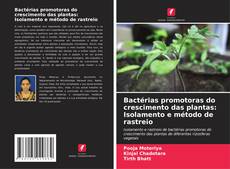 Couverture de Bactérias promotoras do crescimento das plantas: Isolamento e método de rastreio