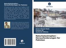 Bookcover of Naturkatastrophen - Herausforderungen für Pakistan