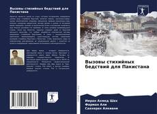 Вызовы стихийных бедствий для Пакистана的封面