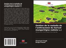 Buchcover von Gestion de la maladie de l'anthracnose du haricot mungo(Vigna radiata L.)