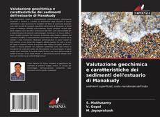 Buchcover von Valutazione geochimica e caratteristiche dei sedimenti dell'estuario di Manakudy