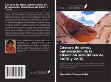 Bookcover of Cáscara de arroz, optimización de la adsorción simultánea de Cu(ii) y Zn(ii)